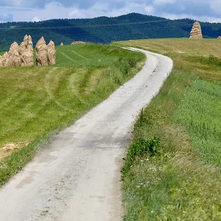 Hotel Perla Poludnia